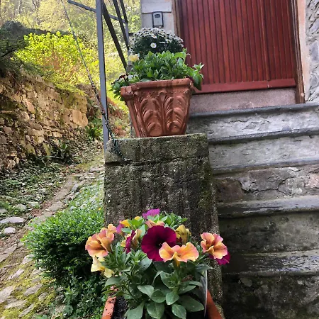 Hébergement de vacances Casa Piccolo Fiore Lezzeno