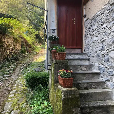 Casa Piccolo Fiore Casa vacanze Lezzeno