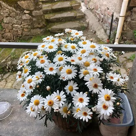 Casa Piccolo Fiore Holiday home